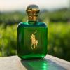 POLO by Ralph Lauren EDT SPRAY 4 OZ